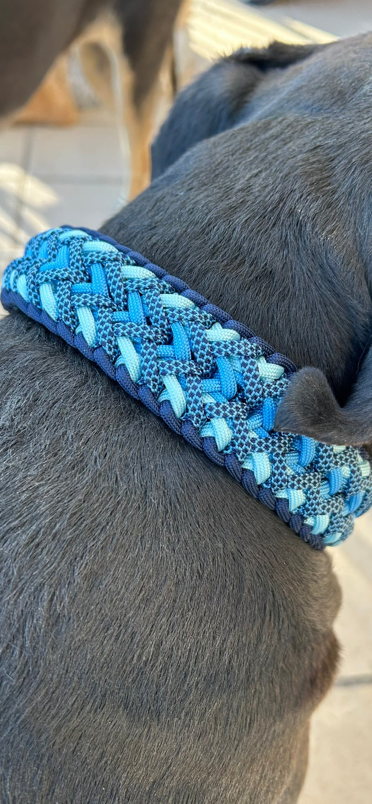 Collier Méditerrané